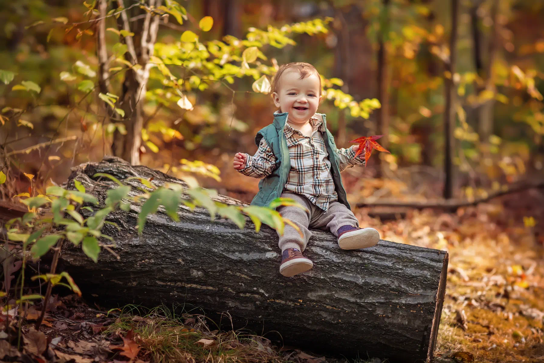 Washington DC family photographed in golden autumn light by Anna Isaika